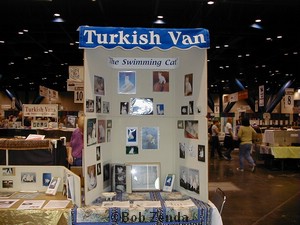Turkish Van